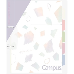 Kokuyo Campus Refillable Notebook, B5 Slim 2 Ring Binder Notebook with with 5 Subject Dividers, 100 Sheets Capacity. Suitable for 26 Holes Loose Leaf Paper, Mineral Color Sorbet Blue (Le -PP358-L4LB)(Sheer Purple)